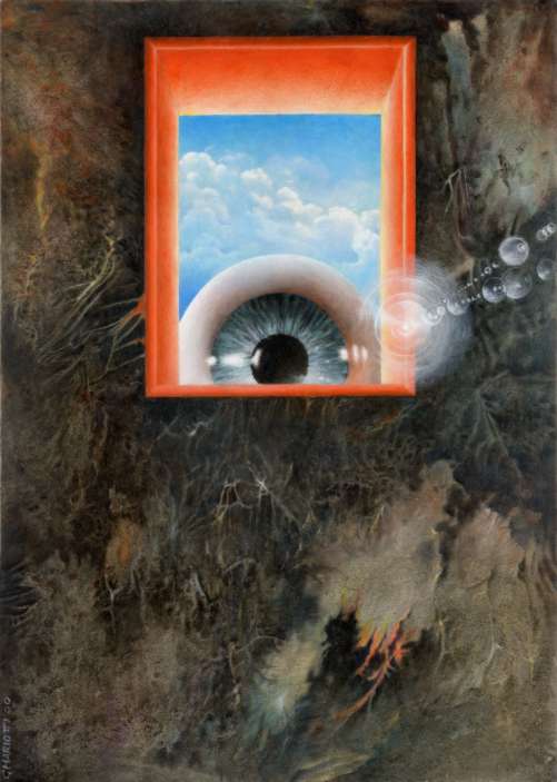 The Window